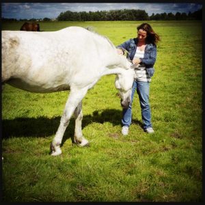 160714 ik met paard