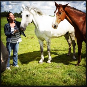 160714 ik met paarden