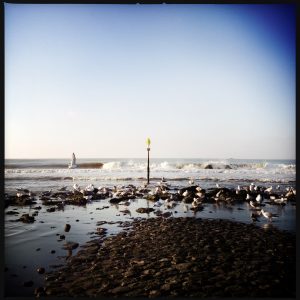 161022 Zuiderstrand